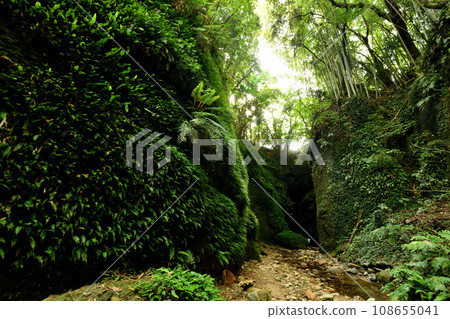 Iogi Cave [Iogi, Aki City, Kochi Prefecture] 108655041