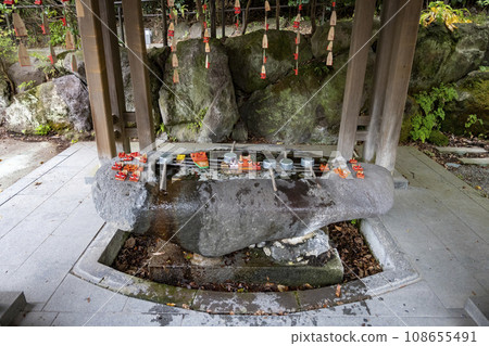 鎌倉 11 月 鎌倉神社 5 108655491