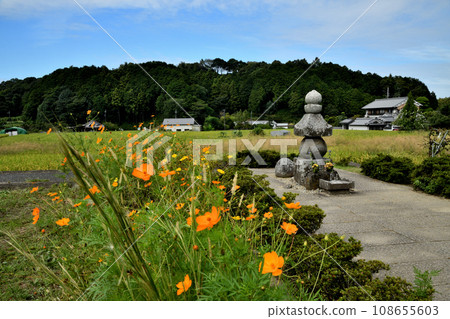 曾我入角塚[奈良縣高市郡飛鳥村] 108655603