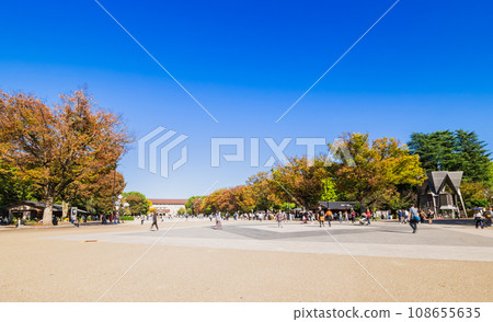Ueno Park Sakura Street in autumn weather Ueno Park Sakura Street in autumn weather 108655635
