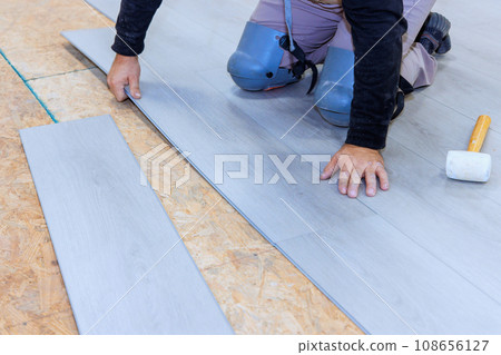 During installation vinyl laminate at floor of new home worker works 108656127