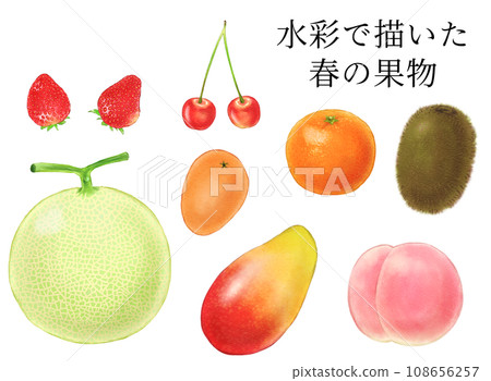 春季水果莎草（草莓、櫻桃、甜瓜、枇杷、芒果、奇異果、桃子、臍橙）畫水彩 108656257