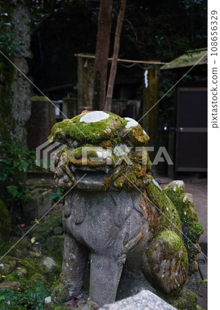 大阪的神祕神社 大阪的神祕神社 108656329