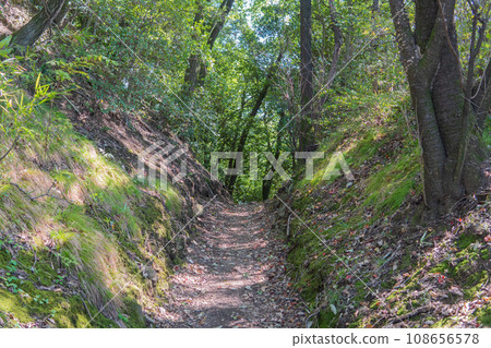 Gunma Prefecture/Nitta Kanayama Castle Ruins [Nationally Designated Historic Site/Japan's 100 Famous Castles] Horikiri under the West Tower 108656578