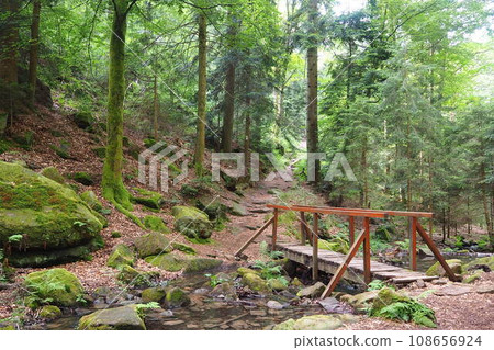 法國的森林與溪流山路 法國的森林與溪流山路 108656924