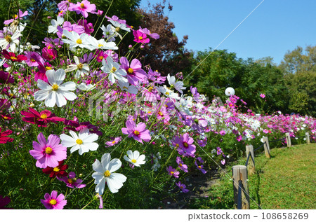 宇宙場風光 108658269