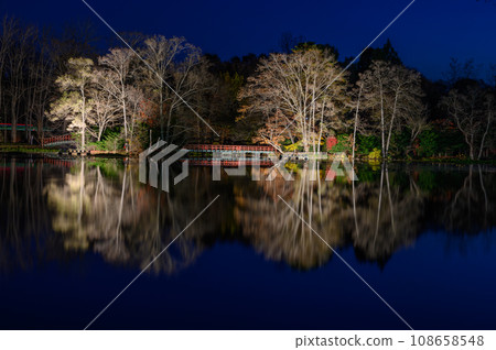 八郎沼的紅葉彩燈 八郎沼的紅葉彩燈 108658548