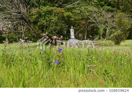 Tono Furusato Village in autumn 108659624