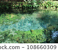 Shirakawa water source spring water 108660309