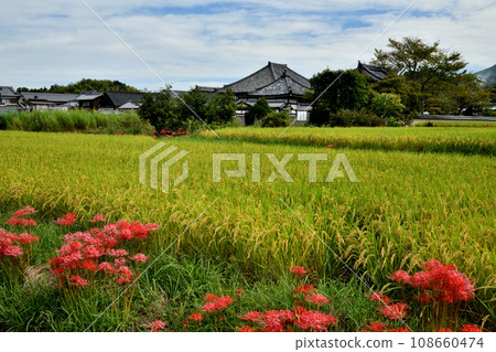 飛鳥寺（安井院）[奈良縣飛鳥村] 108660474