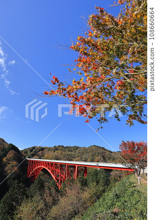 Autumn leaves of Okuizumo Orochi Loop 2 108660664