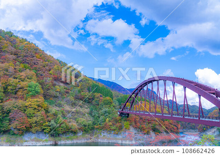 [Autumn material] Autumn leaves of Okususobana Valley [Nagano Prefecture] 108662426