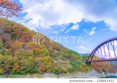 [Autumn material] Autumn leaves of Okususobana Valley [Nagano Prefecture] 108662432