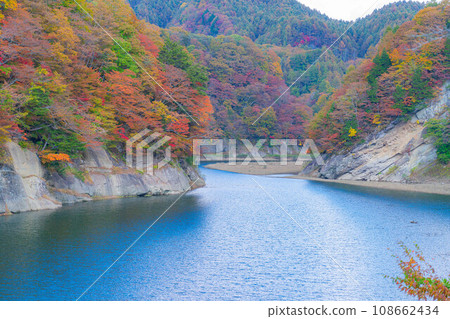 [Autumn material] Autumn leaves of Okususobana Valley [Nagano Prefecture] 108662434