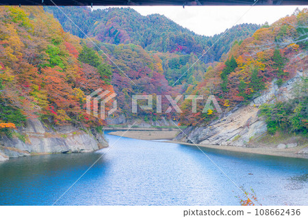 [Autumn material] Autumn leaves of Okususobana Valley [Nagano Prefecture] 108662436