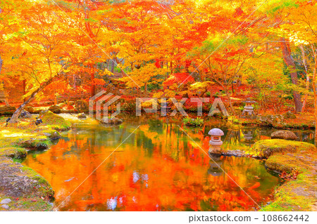 天守閣自然公園，秋葉鮮豔 108662442