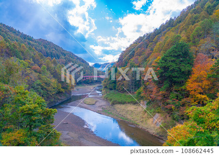 [Autumn material] Autumn leaves of Okususobana Valley [Nagano Prefecture] 108662445