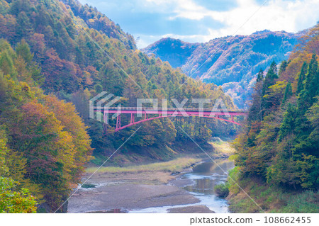 [Autumn material] Autumn leaves of Okususobana Valley [Nagano Prefecture] 108662455