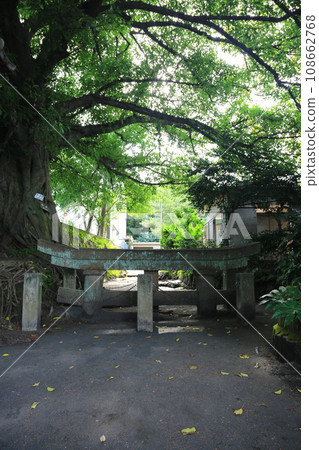 Vertical angle of Kurokami Buried Torii Vertical angle of Kurokami Buried Torii 108662768