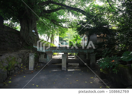 Wide angle horizontal view of Kurokami Buried Torii 108662769