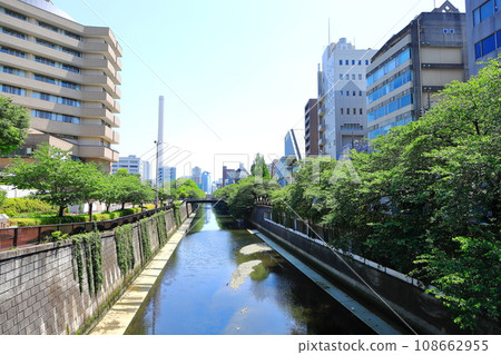 東京目黑河鮮綠 108662955