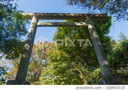 Gunma Prefecture/Nitta Kanayama Castle Ruins/Torii of Nitta Shrine [Nationally Designated Historic Site/Japan's 100 Famous Castles] 108663318