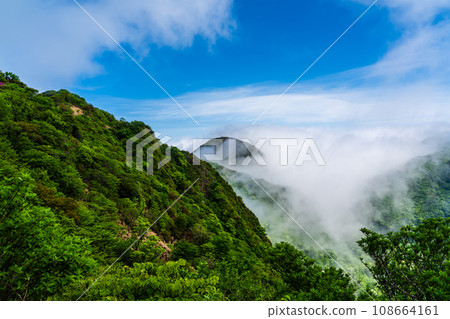 Sea of clouds and fresh greenery from Mt. Unzen Myoken [Unzen City, Nagasaki Prefecture] 108664161