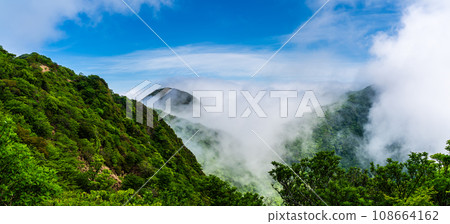 從雲仙妙見山眺望的雲海與新綠全景【長崎縣雲仙市】 從雲仙妙見山眺望的雲海與新綠全景【長崎縣雲仙市】 108664162