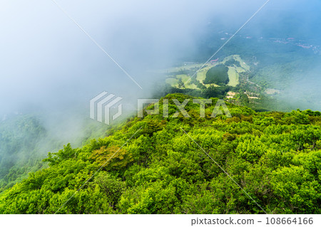 Sea of clouds and fresh greenery from Mt. Unzen Myoken [Unzen City, Nagasaki Prefecture] 108664166