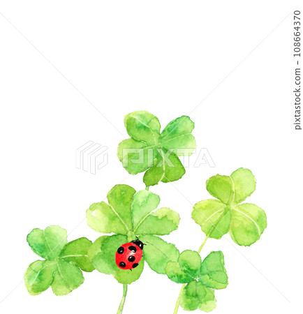 Postcard material of clover and ladybug painted in watercolor [hand-painted] White background Transparent background Copy space included 108664370