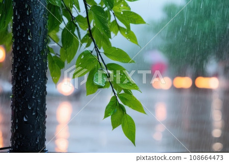 Heavy rain in the city. Close up Tree on a blurred background. Spring or autumn urban concept. AI 108664473
