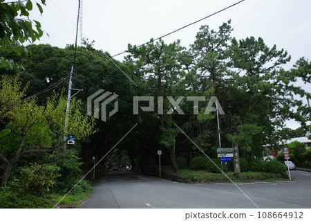 Numazu Park signboard and pine forest in Numazu 108664912