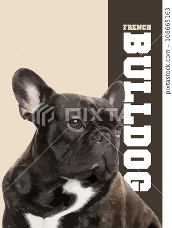 A close-up of Frensh Bulldog. 3d vector poster illustration A close-up of Frensh Bulldog. 3d vector poster illustration 108665163