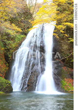 Auron Otaki Falls in autumn leaves in Fujisato Town, Akita Prefecture Auron Otaki Falls in autumn leaves in Fujisato Town, Akita Prefecture 108665218