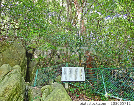 位於福岡縣田川市岩屋第一溶洞旁的市天然紀念物“爆之木” 108665711