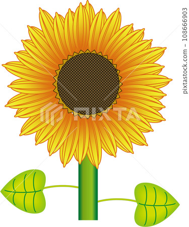 向日葵 108666903