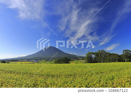 Mt. Yotei and patchwork fields seen from Mizuho, Kutchan Town, Hokkaido_Panorama a Mt. Yotei and patchwork fields seen from Mizuho, Kutchan Town, Hokkaido_Panorama a 108667122