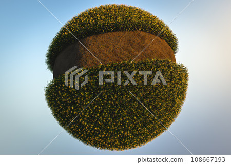 Abstract spherical corn field on a blue background. Corn plants with cobs 3D 108667193