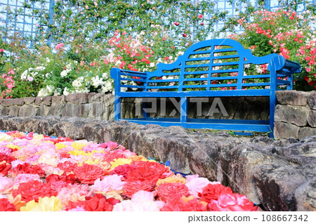 春天玫瑰園 春天玫瑰園 108667342