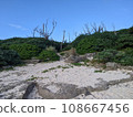 Coast with blue sky 108667456