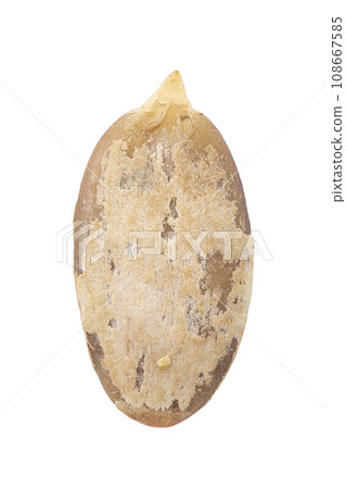 Hulled pumpkin seed close up. Healthy food ingredient. Hulled pumpkin seed close up. Healthy food ingredient. 108667585