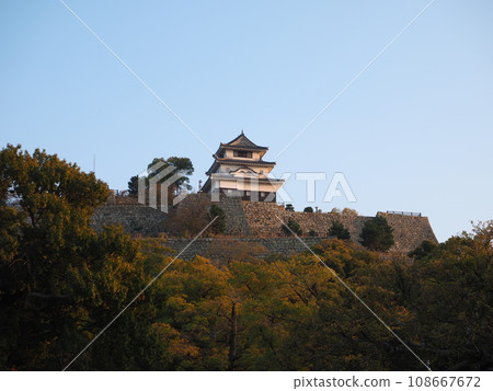 香川縣丸龜城天守閣 香川縣丸龜城天守閣 108667672