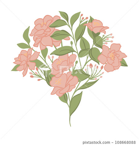 Hand drawn illustration japanese camellia flower and green leaves. Orange blush floral blossom bloom in scallop shape, spring japan festival, delicate natural arrangement, elegant soft pastel colors Hand drawn illustration japanese camellia flower and green leaves. Orange blush floral blossom bloom in scallop shape, spring japan festival, delicate natural arrangement, elegant soft pastel colors 108668088