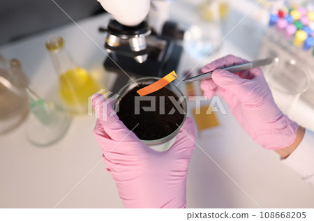 PH test strip and soil study in laboratory closeup 108668205