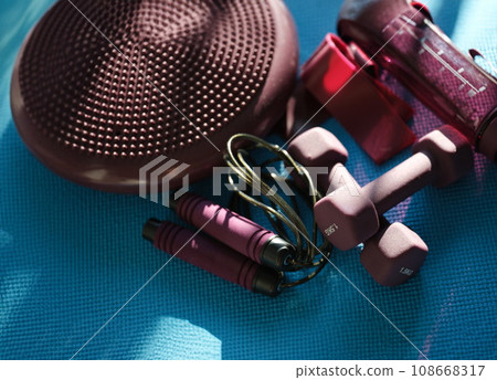 Sports accessories for home fitness dumbbells and skipping rope Sports accessories for home fitness dumbbells and skipping rope 108668317