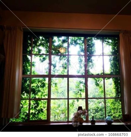 從莫內故居的窗戶看出去的景色 108668703