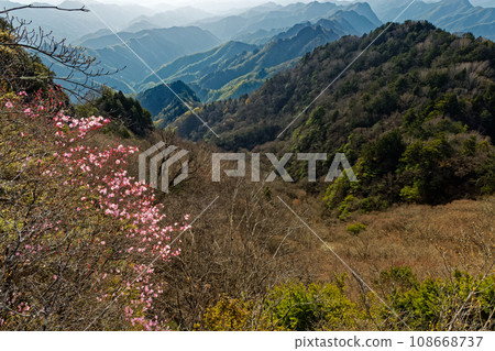 兩神山紅棕櫚杜鵑花盛開,連綿的綠意盎然 兩神山紅棕櫚杜鵑花盛開,連綿的綠意盎然 108668737