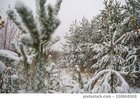 Flakes of snow falling down winter landscape. 108668808