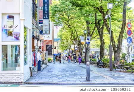 Tokyo Shibuya cityscape Omotesando 108669231