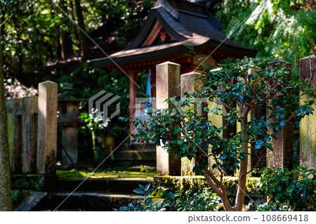 [奈良縣] 奈良市古仁寺（2023年11月7日拍攝） 108669418